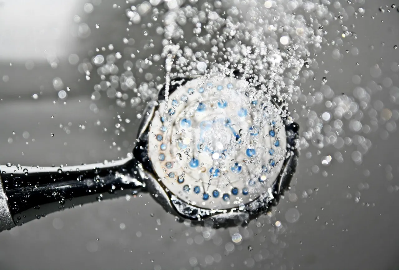 plumbing services in Okemos, MI